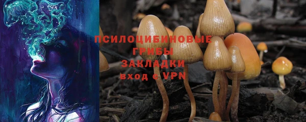 PSILOCYBIN Балабаново