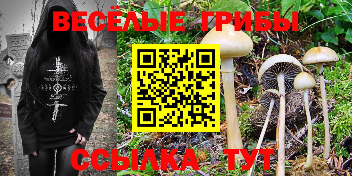 Псилоцибиновые грибы Magic Shrooms  Вход с VPN  Кировск 